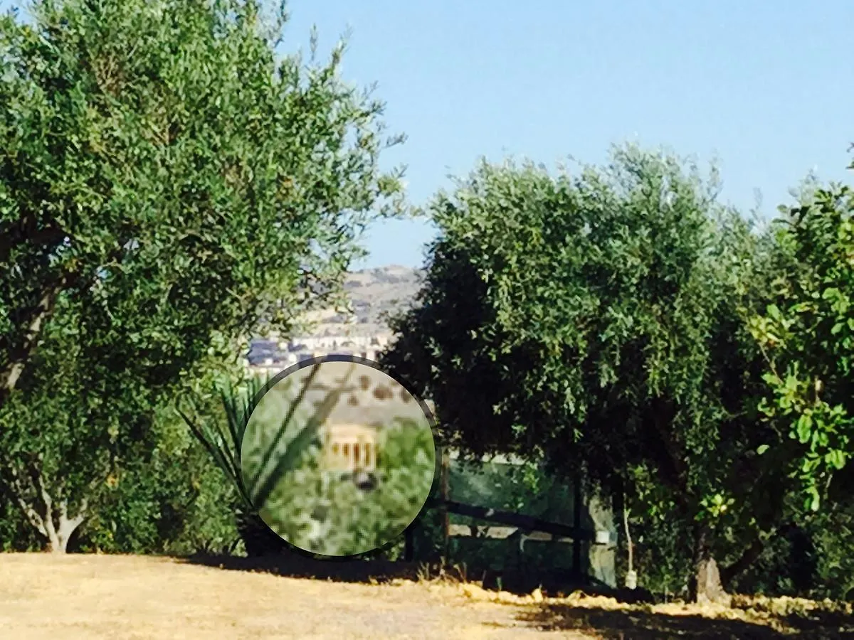 Il Colle Del Rustico Bed & Breakfast Agrigento
